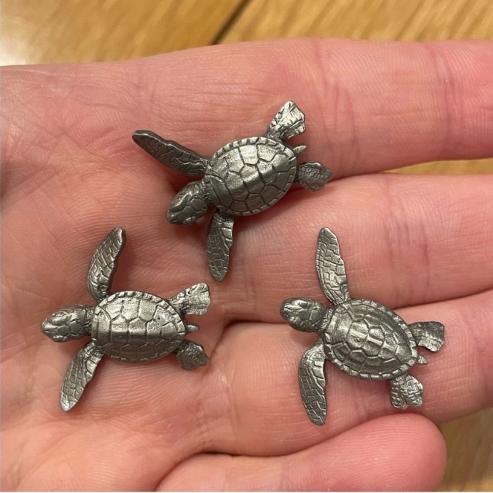 Metal Turtle Magnet Set - Picture 7 of 13
